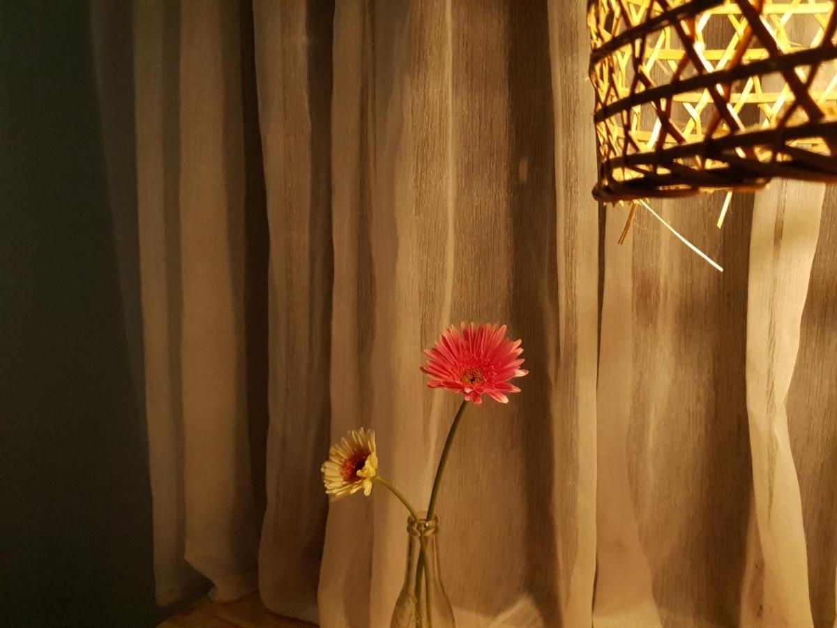 Tam Coc Brothers Homestay - ニンビン エクステリア 写真