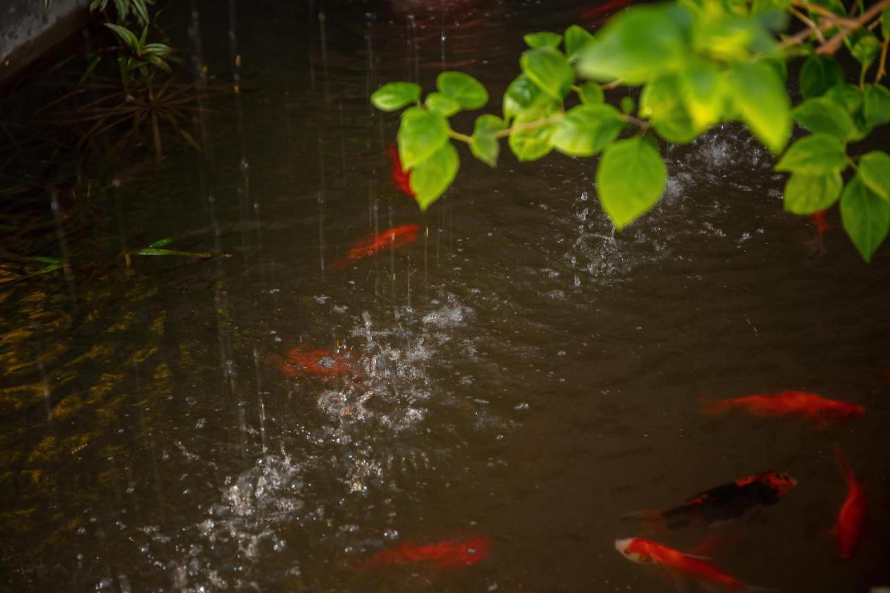 Tam Coc Brothers Homestay - ニンビン エクステリア 写真